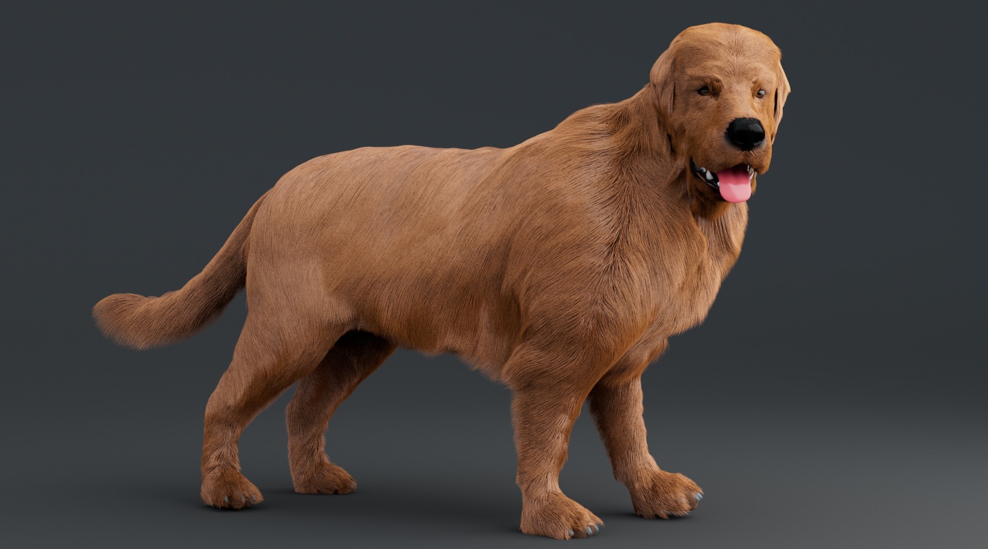 Realistic Grooming Masterclass